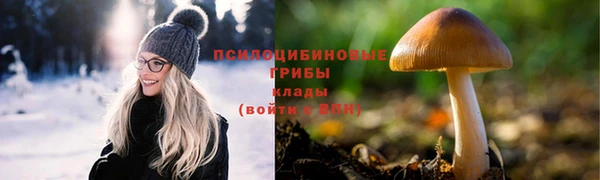 прущая мука Армянск
