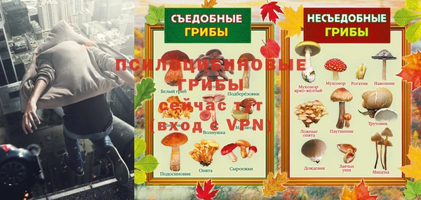 бошки Арсеньев